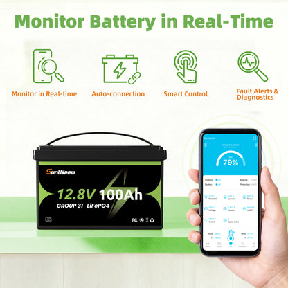 SP-ESS-12_8V100AH-B-G31