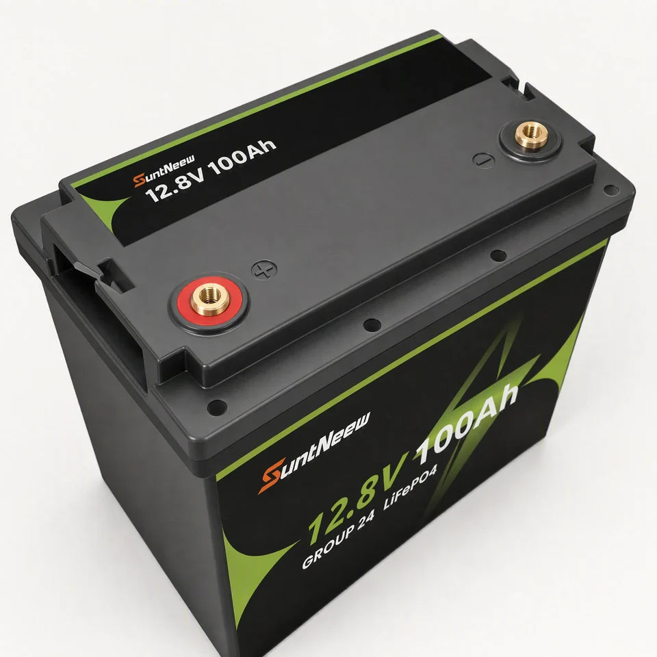 SuntNeew Group 24 battery terminal detail